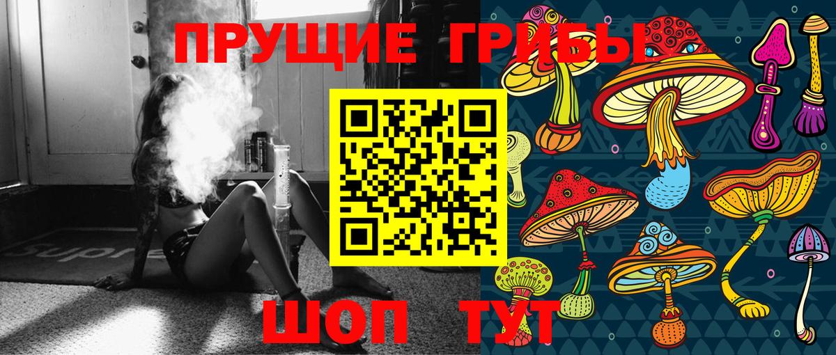 Галлюциногенные грибы Psilocybe  Псилоцибиновые грибы прущие грибы  Вход с VPN  Гай 