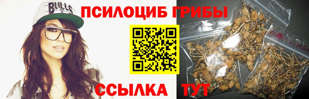 Псилоцибиновые грибы GOLDEN TEACHER Гай